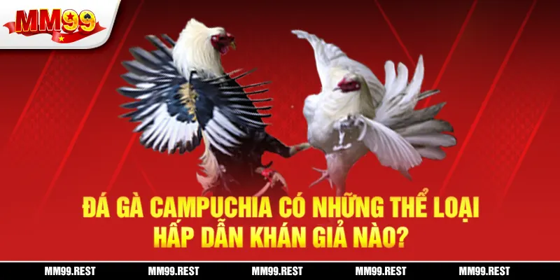 Đá gà campuchia có những thể loại hấp dẫn khán giả nào?