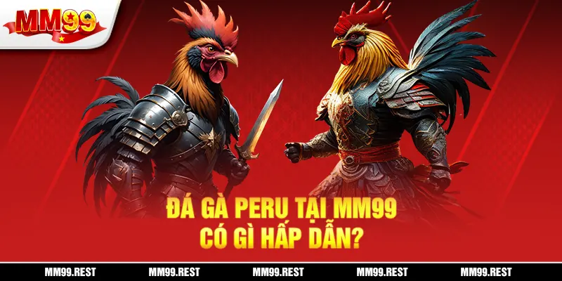 Đá gà Peru tại mm99 có gì hấp dẫn?