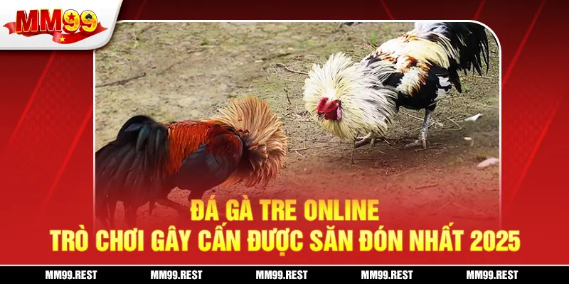 Đá Gà Tre Online - Trò Chơi Gây Cấn Được Săn Đón Nhất 2025