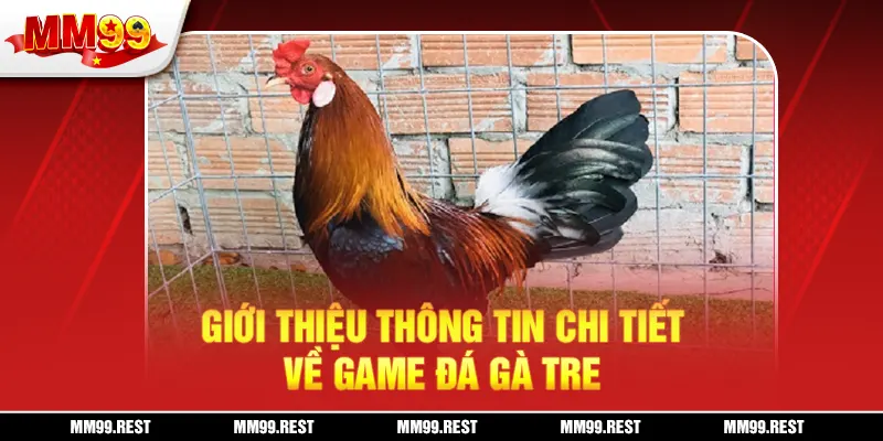 Giới thiệu thông tin chi tiết về game đá gà tre