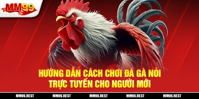 Hướng dẫn cách chơi đá gà nòi trực tuyến cho người mới