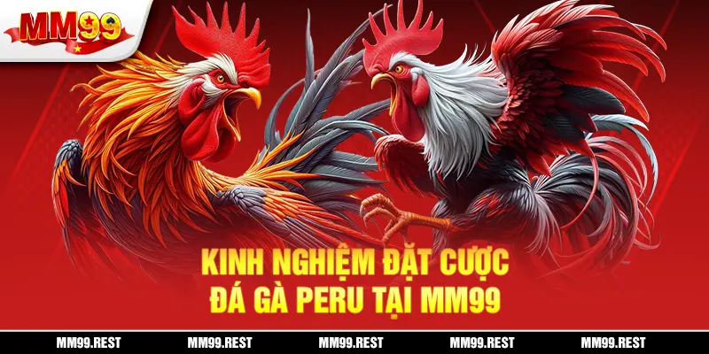 Kinh nghiệm đặt cược đá gà Peru tại mm99