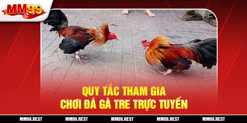 Quy tắc tham gia chơi đá gà tre trực tuyến