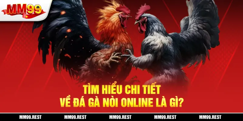 Tìm hiểu chi tiết về đá gà nòi online là gì?