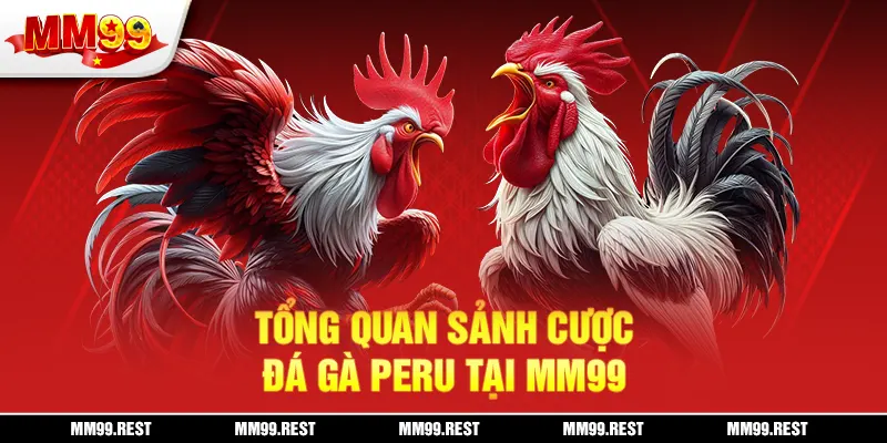 Tổng quan sảnh cược đá gà Peru tại mm99