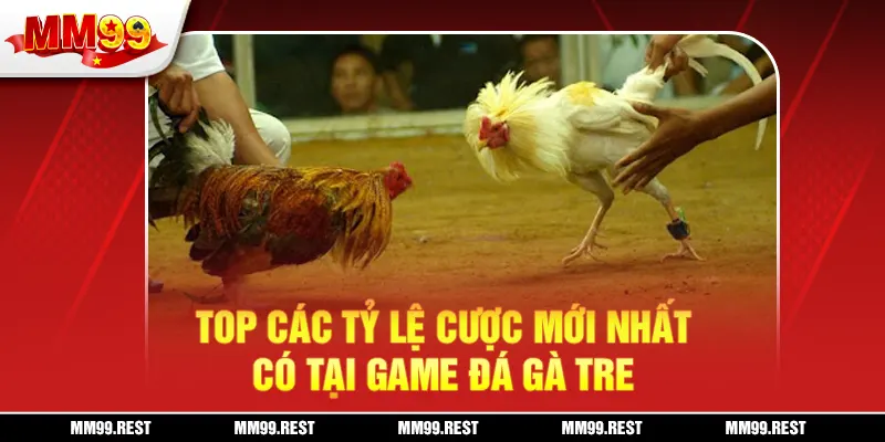 Top các tỷ lệ cược mới nhất có tại game đá gà tre